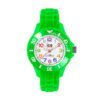 Ice-watch herenhorloge groen 30mm IW000746