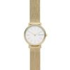 Skagen SKW2693 Horloge Signature staal goudkleurig 30 mm
