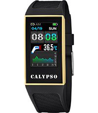 Calypso Dames horloge (K8502/4)