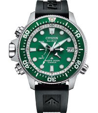 Citizen Heren horloge (BN2040-17X)