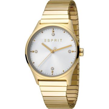 Esprit Dames horloge (ES1L032E0075)