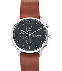 skagen Heren horloge (SKT3000)