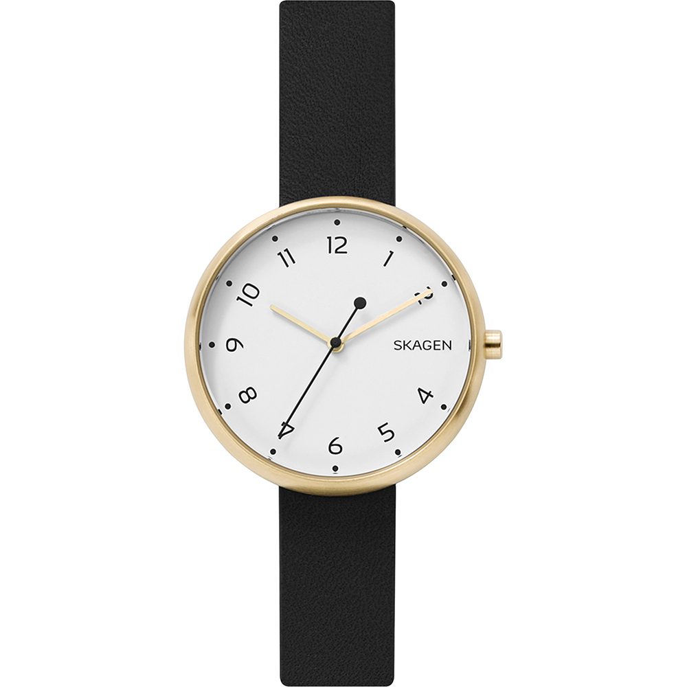 Skagen horloge (SKW2626)