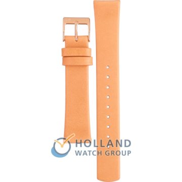 skagen Heren horloge (ASKW2418)