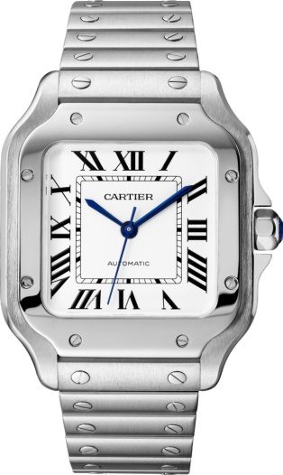 Cartier Santos De Cartier WSSA0010